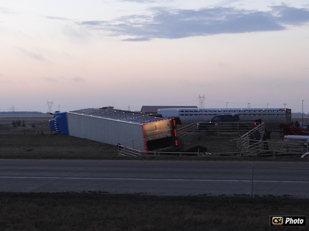 Cattle Truck accident on I94